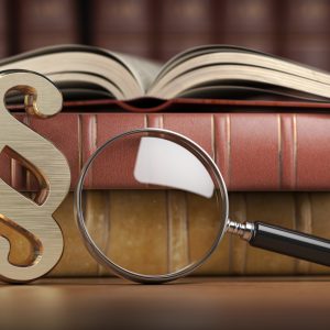 Online-Weiterbildung §34a-Sachkunde (1 Monat)